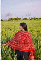 Gul Ajrak Chaadar